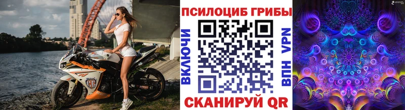 Псилоцибиновые грибы Magic Shrooms  цены   OMG зеркало  Ардон 